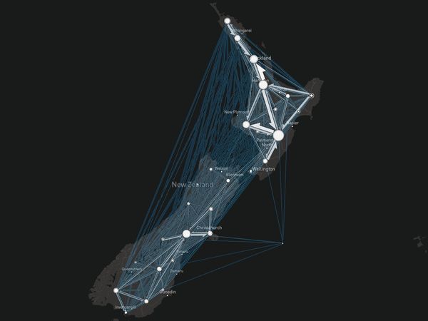 ニュージーランドの牛の移動