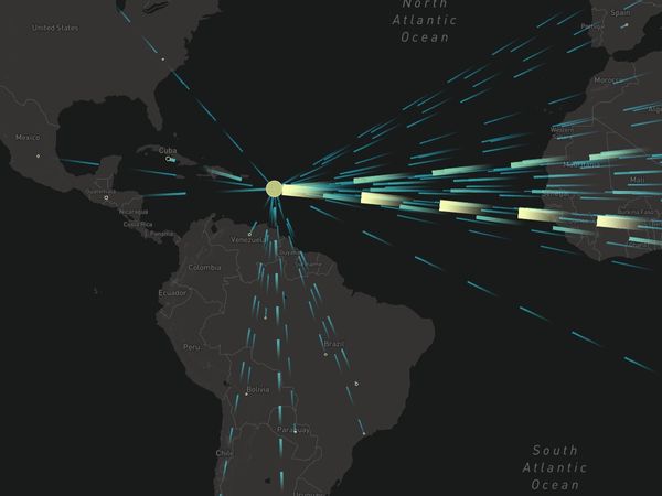 グアドループへの植物移入