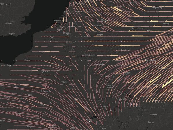 鳥の渡りモデル